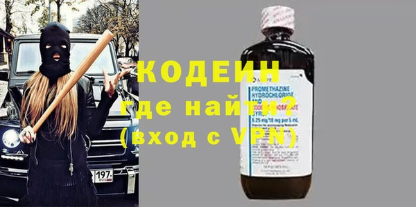 хмурый Арсеньев