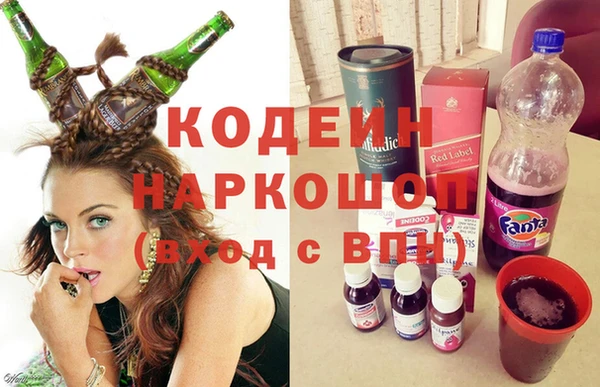 хмурый Арсеньев