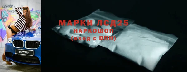 хмурый Арсеньев