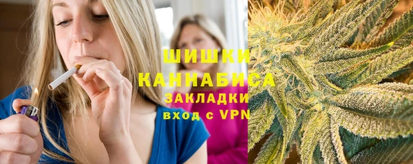 хмурый Арсеньев
