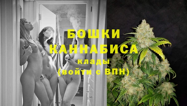 хмурый Арсеньев