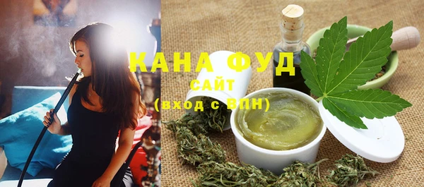 хмурый Арсеньев