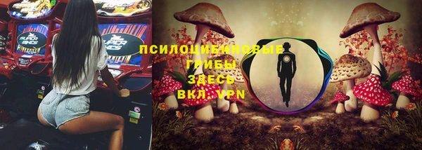 хмурый Арсеньев