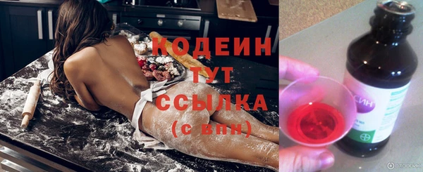 хмурый Арсеньев