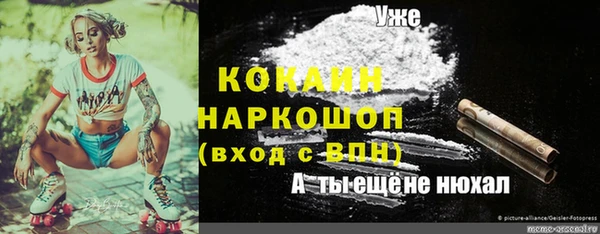 хмурый Арсеньев