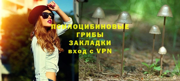 хмурый Арсеньев