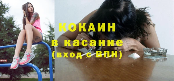 хмурый Арсеньев